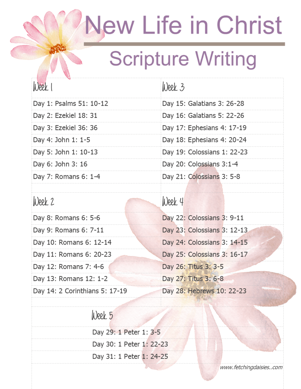 New Life In Christ 2019 FD